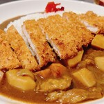 龍のかくれんぼ - 気まぐれ牛すじカレー＋アボ豚トンカツトッピング④