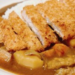 龍のかくれんぼ - 気まぐれ牛すじカレー＋アボ豚トンカツトッピング⑤