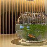 裏難波スシトフジ - 