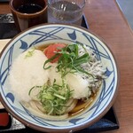 丸亀製麺 太田店 - 明太子しらすおろしにトロロトッピング