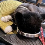 アネアカフェ - 