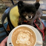 アネアカフェ - 