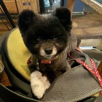 アネアカフェ - 