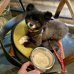 アネアカフェ - 