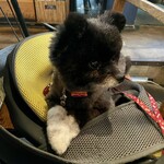 アネアカフェ - 