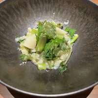 MOTORA  - 