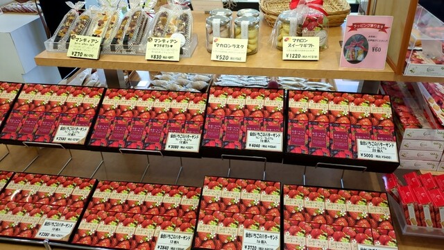 菓房 山清 佐沼店（Yamasei） - 登米市その他（ケーキ）の写真