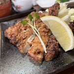 Shokudou Sakaba Torikatsu - 