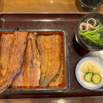 Unagi No Toyokawa - 