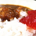 深大寺門前そば - ミニカレー