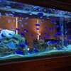 アクアリウムダイニング 新宿ライム