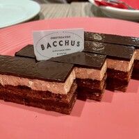 表参道 バッカス - 