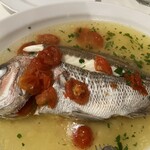 チーロ - アクアパッツァは真鯛