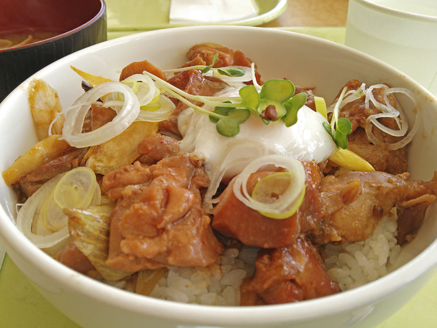 白馬さのさかスキー場 カフェテリアレストラン 南神城 丼もの その他 食べログ