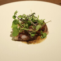 タケル クインディチ(LOQUAT) 西伊豆 - 