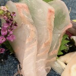 おいしい寿し 札幌 利和 - 