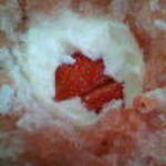 埜庵 - いちごのミルク杏仁寄せが入ってます*2014.01