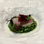 CHIADO - Razar clams rice, scallop, green curry oil