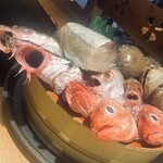和食と立喰い寿司 ナチュラ - 本日のおすすめを紹介する用の桶