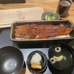 Unagi Yondai-Me Kikukawa - 