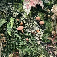 Shangri-La's secret ROPPONGI - 