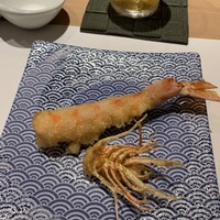 銀座 よこ田 -  銀座 よこ田 -