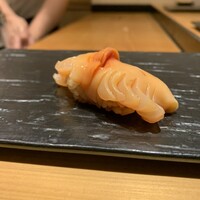 銀座 よこ田 -  銀座 よこ田 -