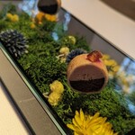 ブレストンコート ユカワタン - 