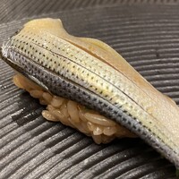 羽田市場 ギンザセブン - コハダ