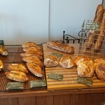 Tsuginohi - 