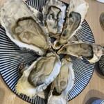 かきのおきて 神田店 - 