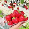 Strawberry Farm No.15