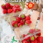 Strawberry Farm No.15 - 