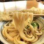 Utsumi Udon - 