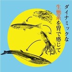 〈海に川、海中・海底どんと来い！〉その他いろいろ、みずのなかま