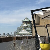 BLUE BIRDS ROOF TOP TERRACE - 