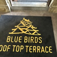 BLUE BIRDS ROOF TOP TERRACE - 