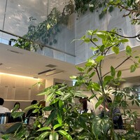 熱香森 - 
