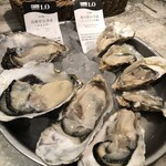 ガンボ＆オイスターバー 新宿ルミネエスト店 - 