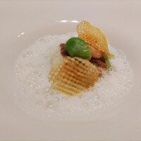 レストランひらまつ 博多 - 福岡産桜鯛のポワレ　八代日本蛤と糸島レモングラスのムースリーヌ　春キャベツのエチュベと薩摩甘海老のソテー