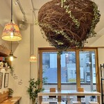 Cafe Moksha Chai - 店内の様子、天井には大きな大きな巣？