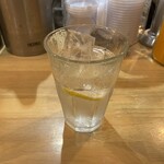 CHIKYU MASALA - レモン入り炭酸水