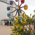 NIBOSHI MANIA - 屋上の幸せの観覧車