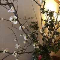 御所 岩さき - 
