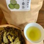 HONMACHI HOTEL - 幻の銘茶「政所茶」