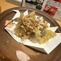 銀座 穂の河 -  銀座 穂の河 -