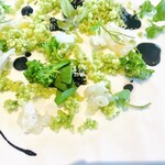 SETTAN - 生き生きとした新緑の緑たちとモノクロの食材。この緑と黒のバイカラー大好きなのでとっても印象的だった。