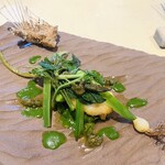 SETTAN - 揚げ物(オコゼ)という絶対大好き一品よりこのお野菜が、まぁ、美味しくてッ…！くっ…！