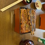 Unagi Ogawa - 