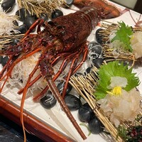 中納言 千日前味楽館 -  中納言 千日前味楽館 -